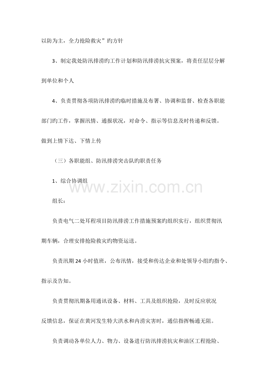 防汛排涝抗灾应急处置方案.docx_第3页