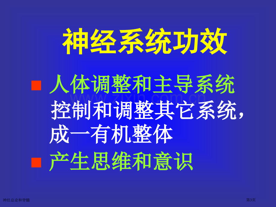 神经总论和脊髓专家讲座.pptx_第3页