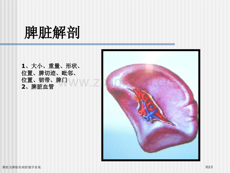 脾脏及脾脏疾病影像学表现.pptx_第2页