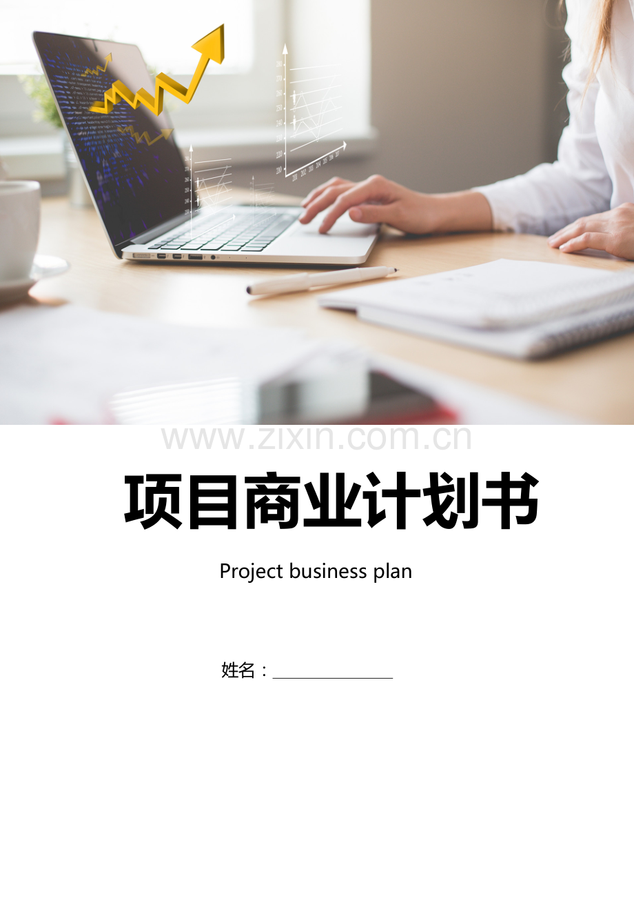 项目商业计划书.docx_第1页