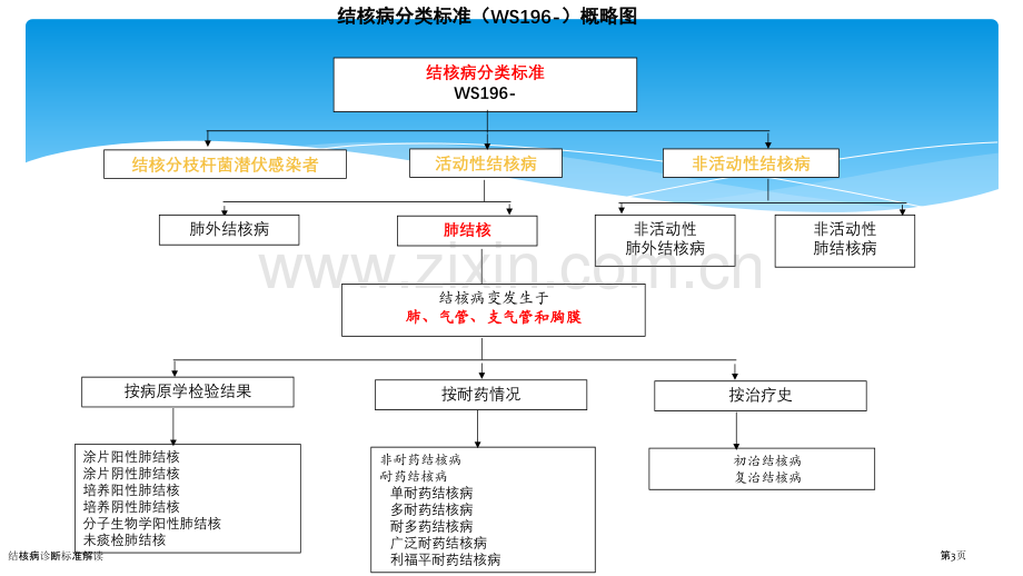 结核病诊断标准解读.pptx_第3页