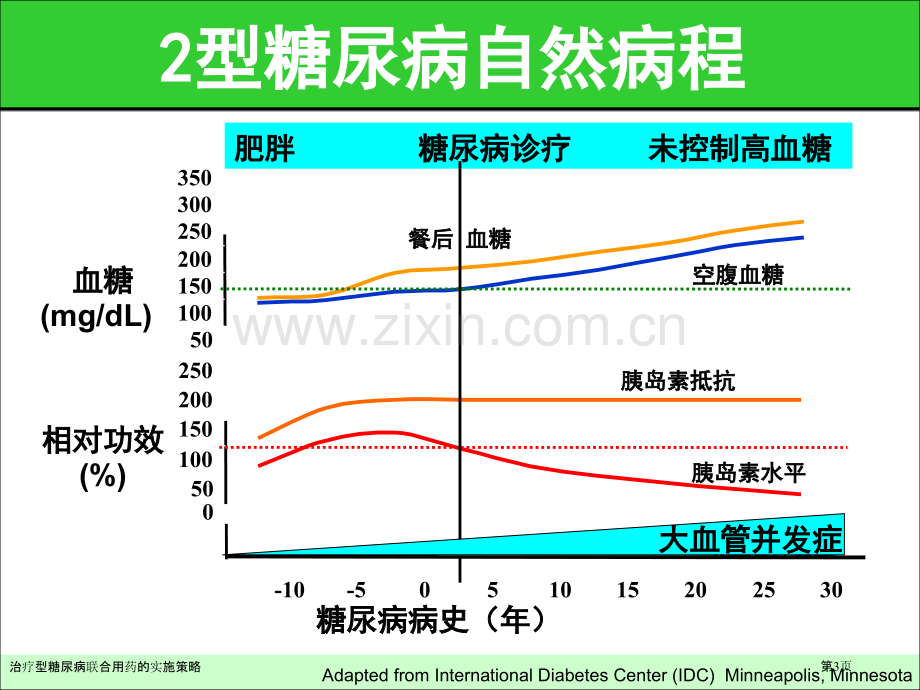 治疗型糖尿病联合用药的实施策略.pptx_第3页