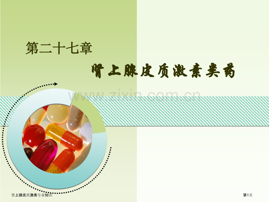 肾上腺皮质激素专业知识专家讲座.pptx_第1页