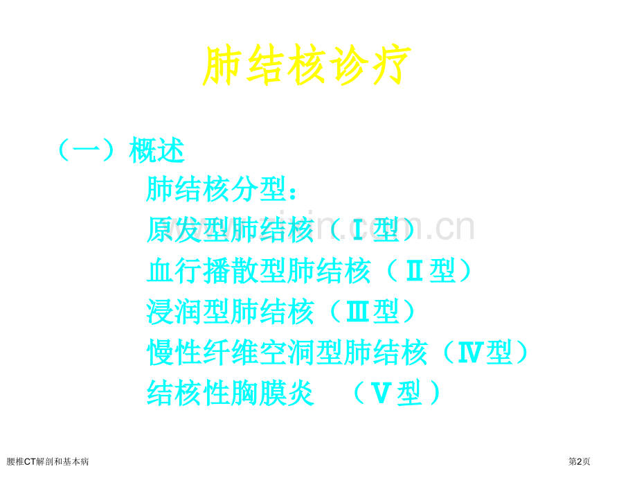 腰椎CT解剖和基本病专家讲座.pptx_第2页