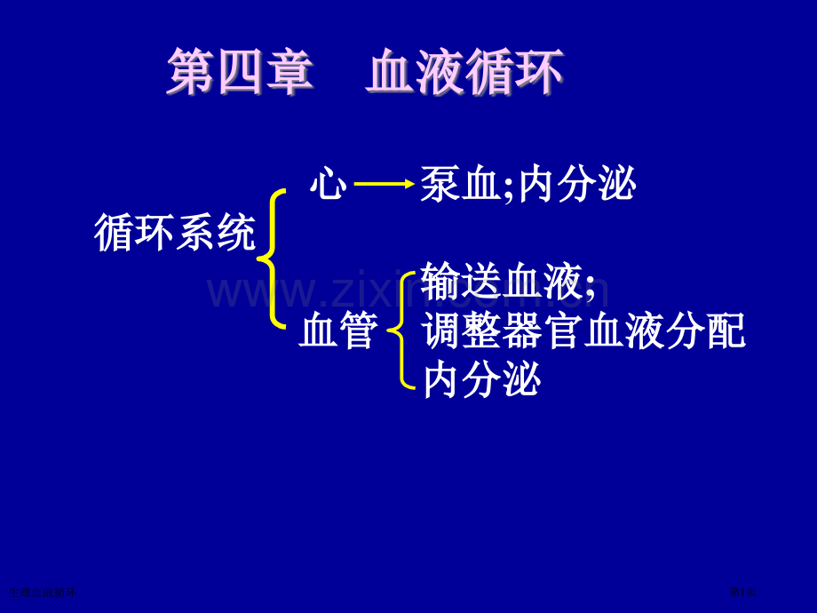 生理血液循环专家讲座.pptx_第1页