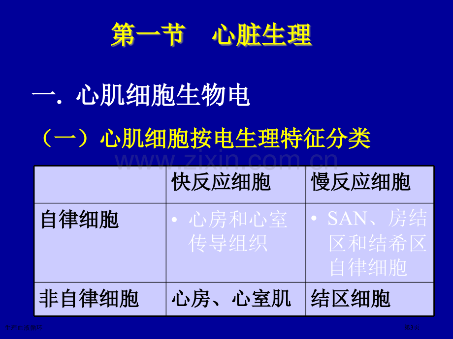 生理血液循环专家讲座.pptx_第3页