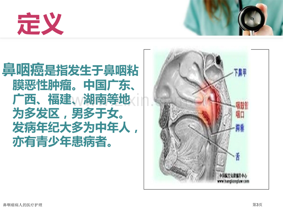 鼻咽癌病人的医疗护理专家讲座.pptx_第3页