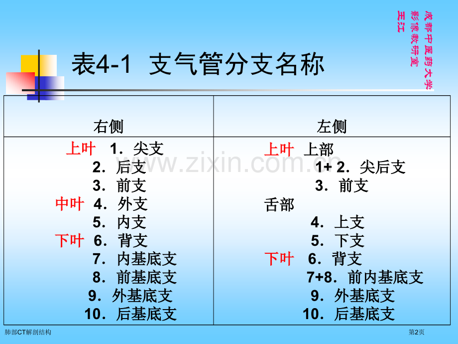 肺部CT解剖结构.pptx_第2页