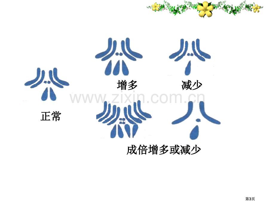 生物的变异和进化公开课一等奖优质课大赛微课获奖课件.pptx_第3页