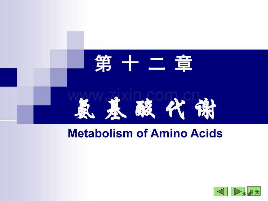 生物化学与分子生物学八课件3市公开课金奖市赛课一等奖课件.pptx_第1页