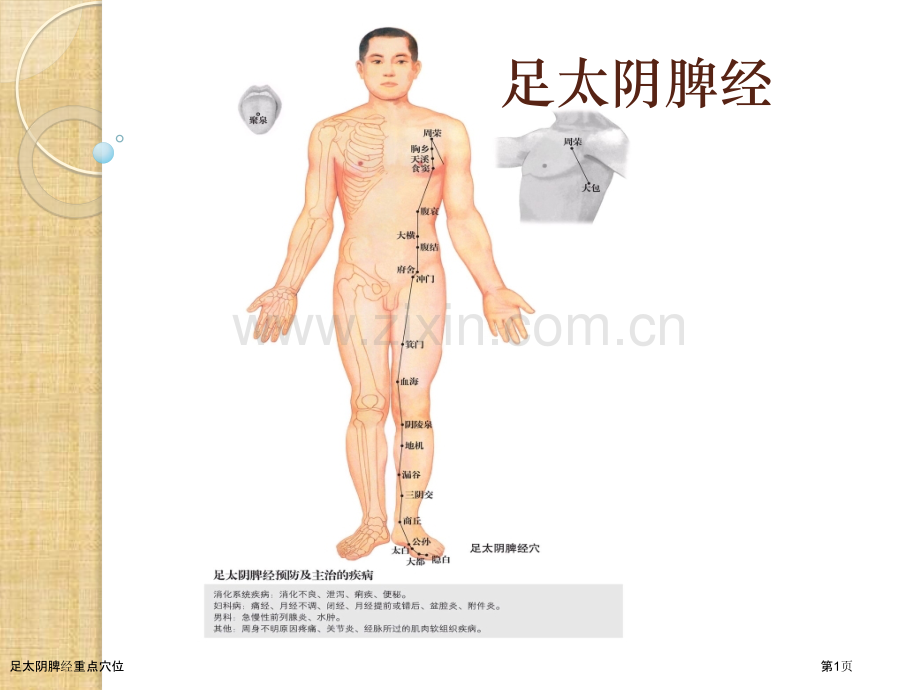 足太阴脾经重点穴位.pptx_第1页