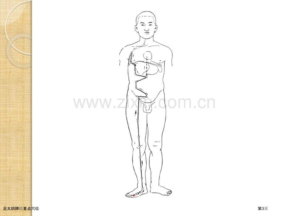 足太阴脾经重点穴位.pptx_第3页
