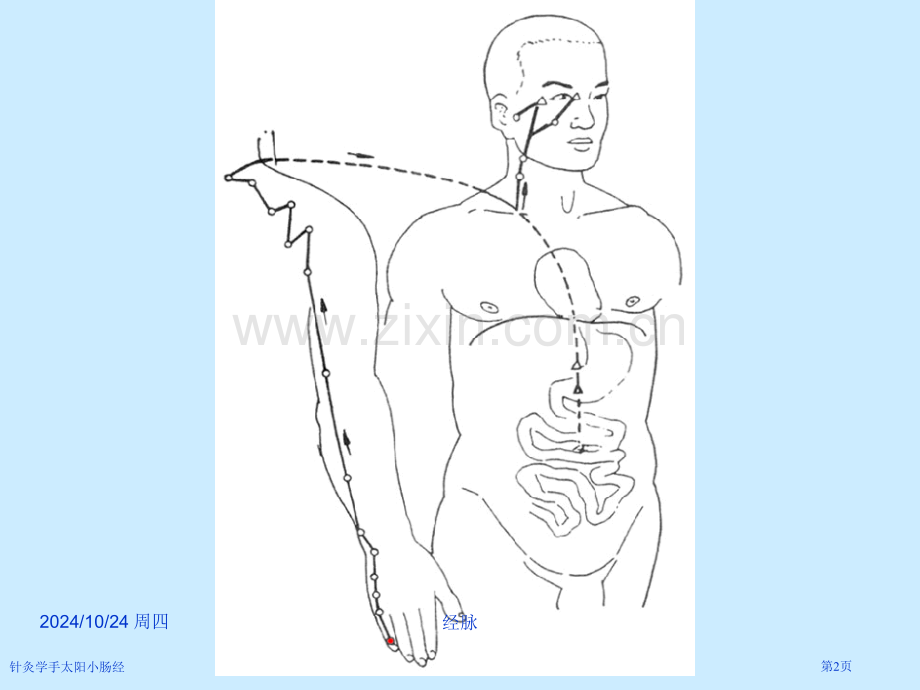 针灸学手太阳小肠经专家讲座.pptx_第2页