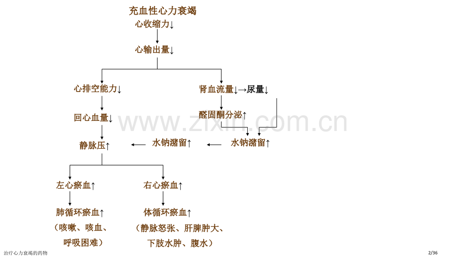 治疗心力衰竭的药物.pptx_第2页