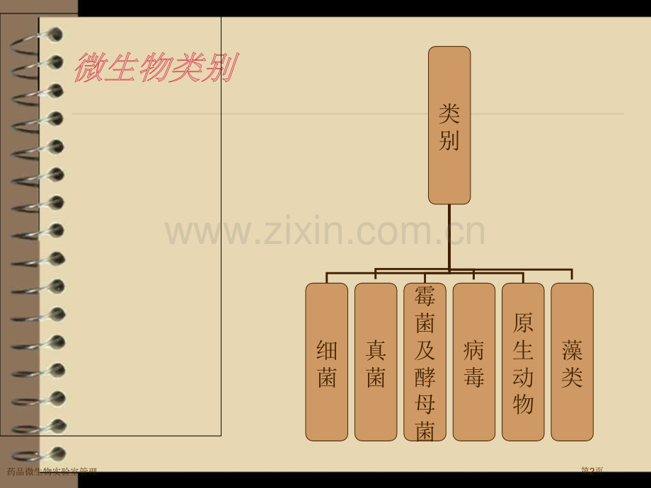 药品微生物实验室管理.pptx_第2页