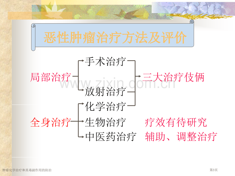 肿瘤化学治疗和其毒副作用的防治专家讲座.pptx_第3页