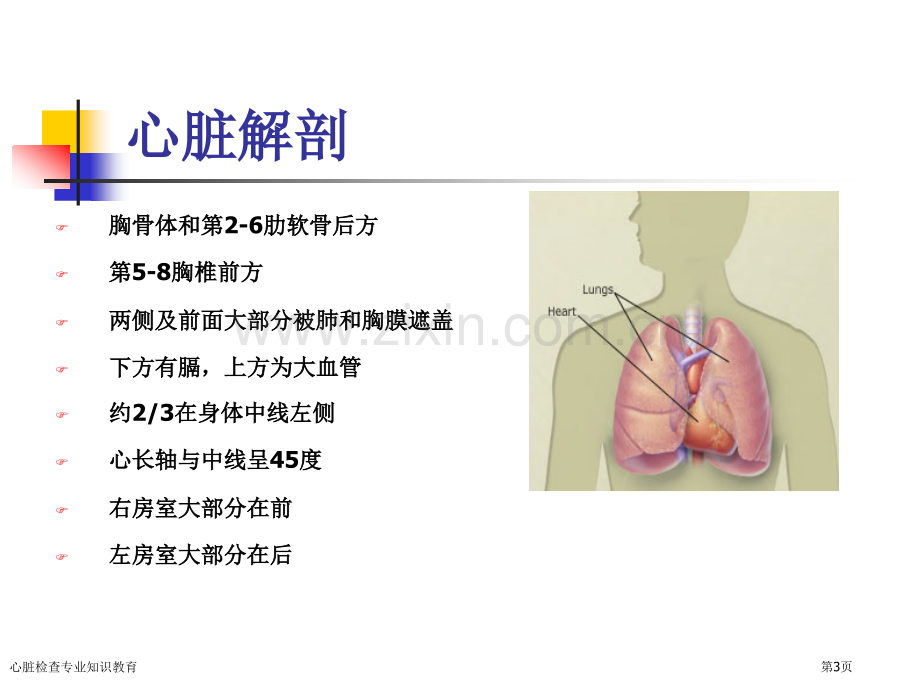 心脏检查专业知识教育专家讲座.pptx_第3页