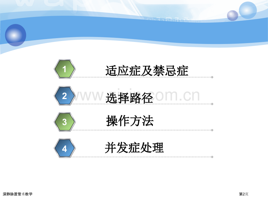 深静脉置管术教学专家讲座.pptx_第2页