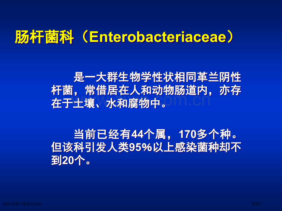 肠杆菌属专业知识培训专家讲座.pptx_第2页