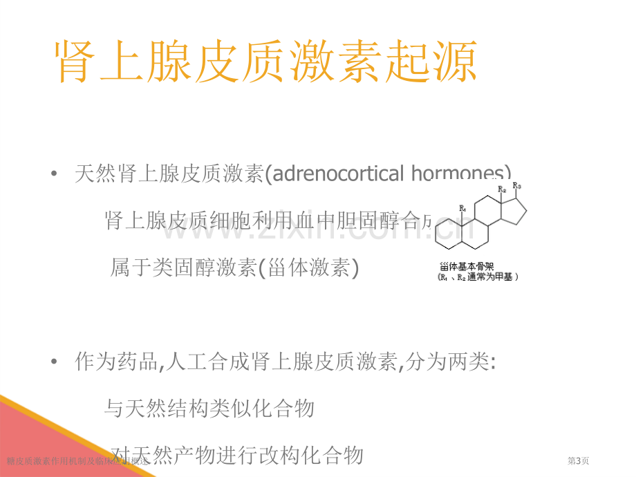 糖皮质激素作用机制及临床应用概述.pptx_第3页