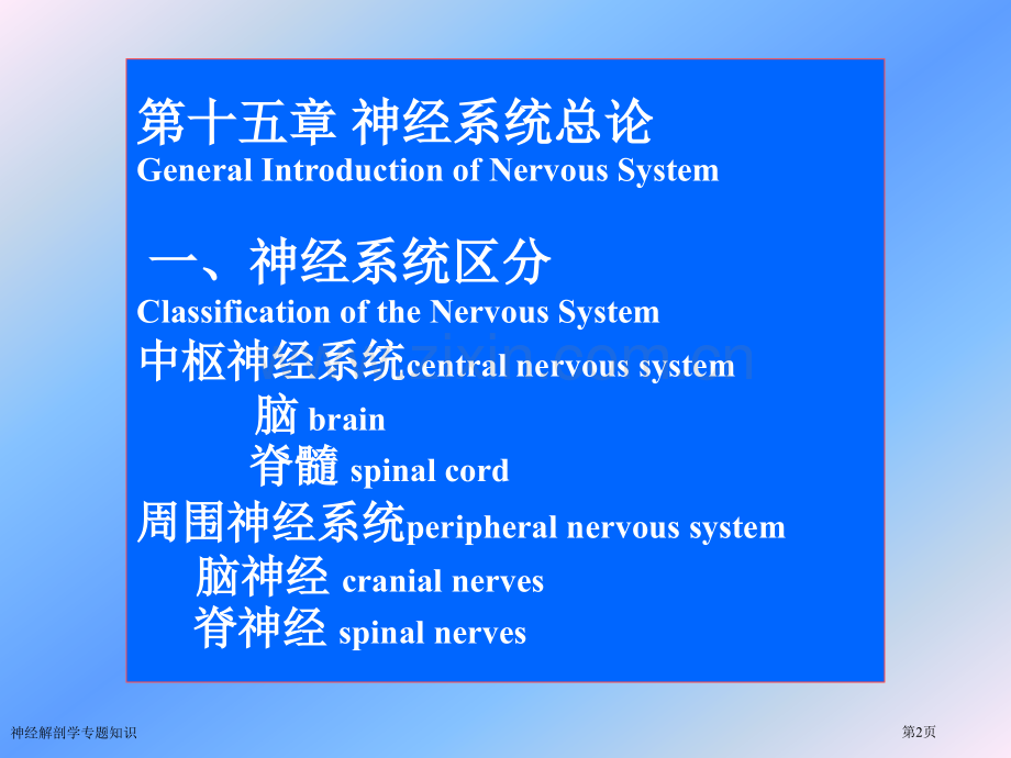 神经解剖学专题知识专家讲座.pptx_第2页