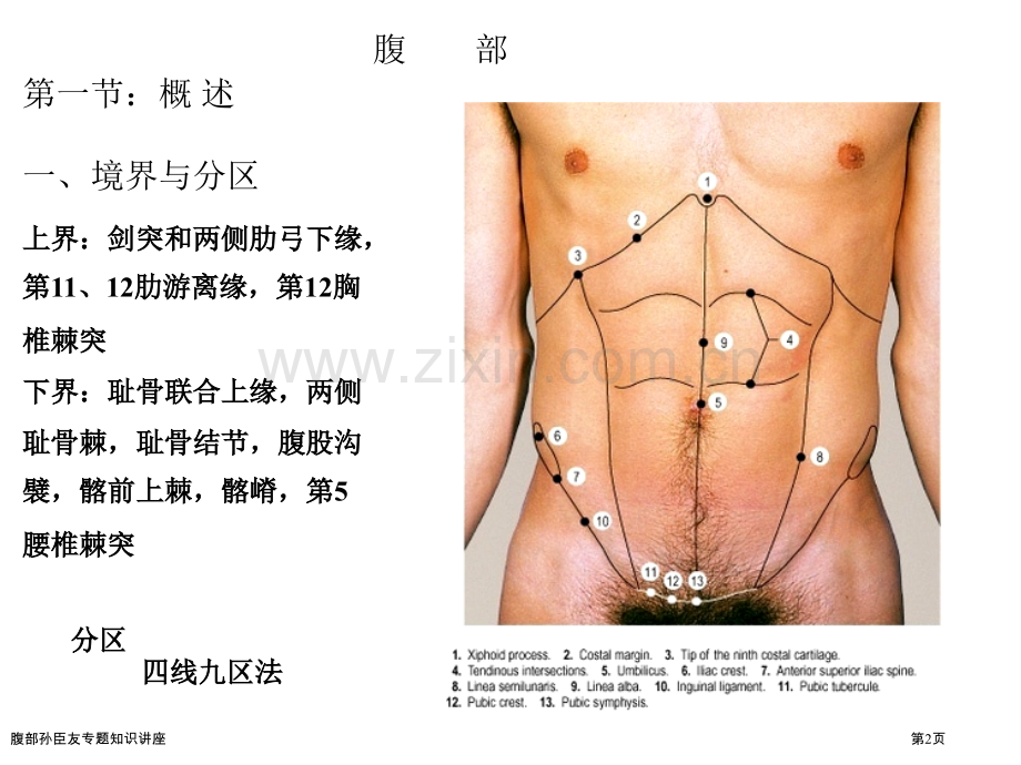 腹部孙臣友专题知识讲座.pptx_第2页