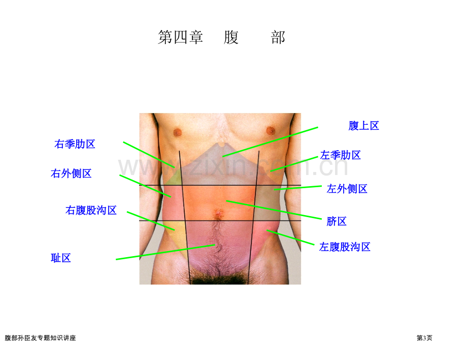 腹部孙臣友专题知识讲座.pptx_第3页