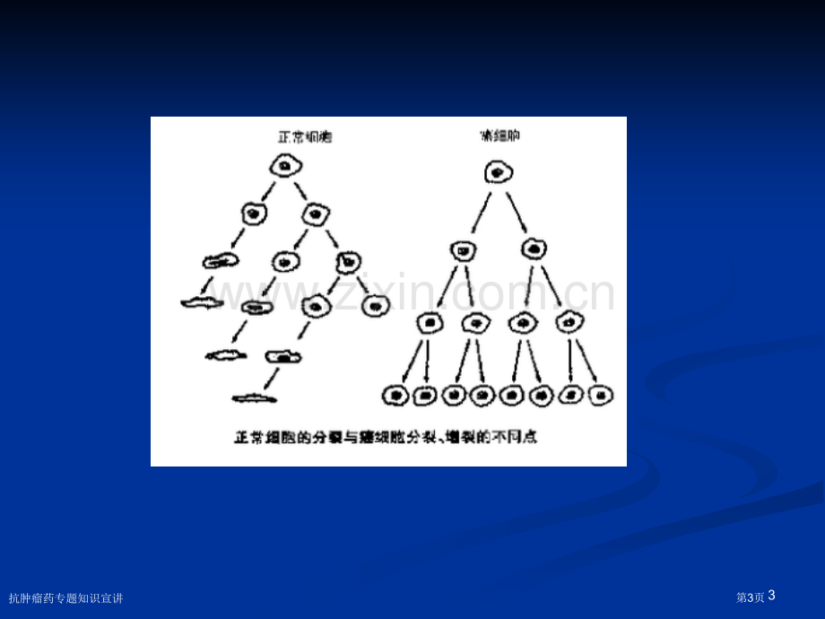 抗肿瘤药专题知识宣讲专家讲座.pptx_第3页