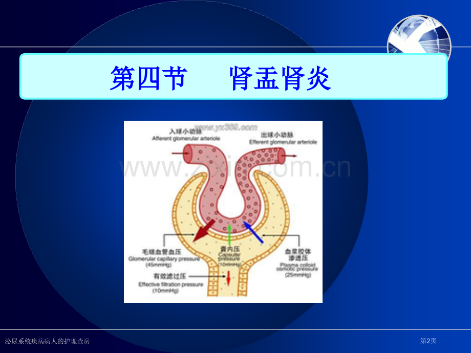 泌尿系统疾病病人的护理查房专家讲座.pptx_第2页