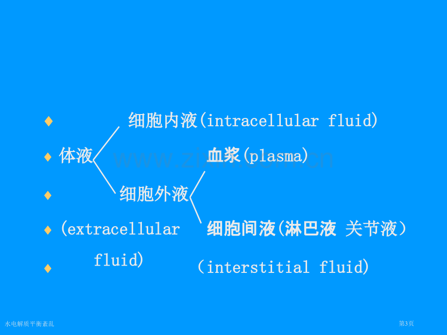 水电解质平衡紊乱专家讲座.pptx_第3页