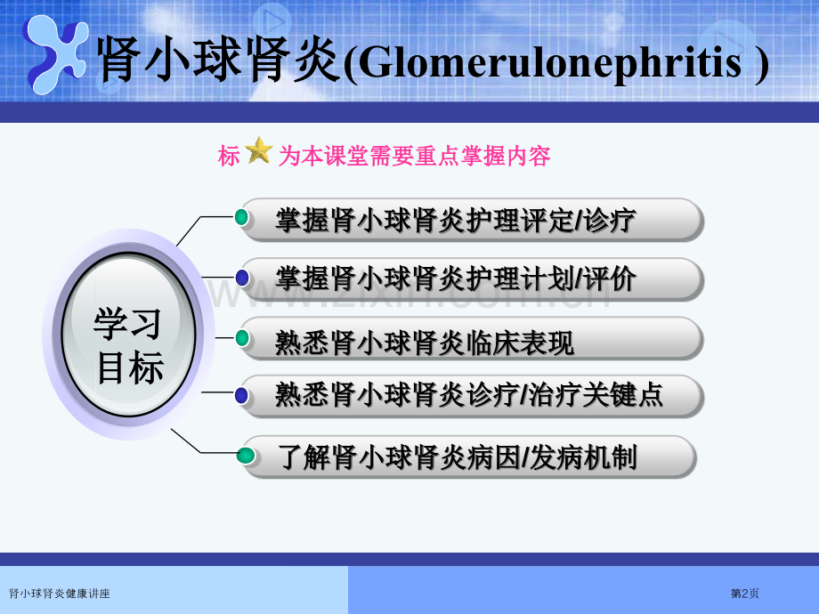 肾小球肾炎健康讲座专家讲座.pptx_第2页