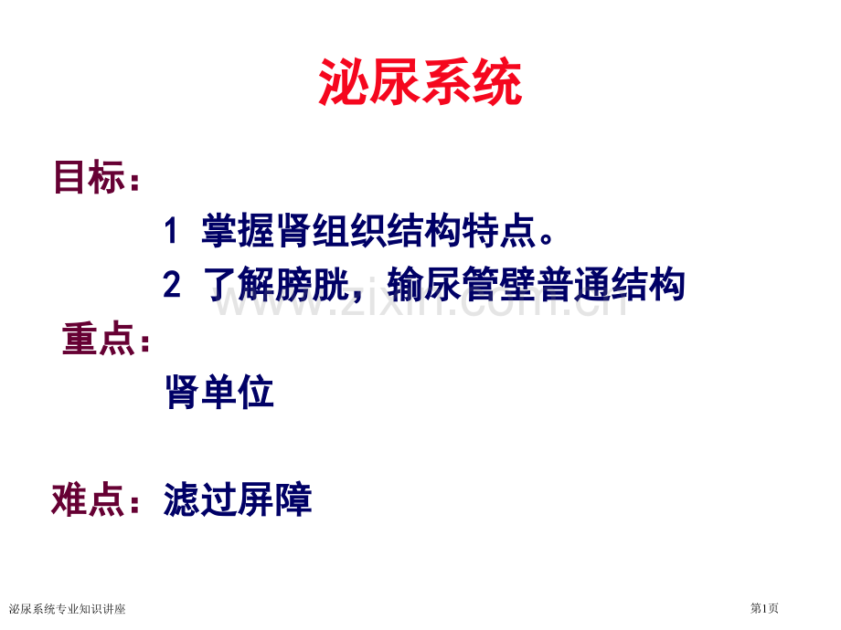 泌尿系统专业知识讲座专家讲座.pptx_第1页