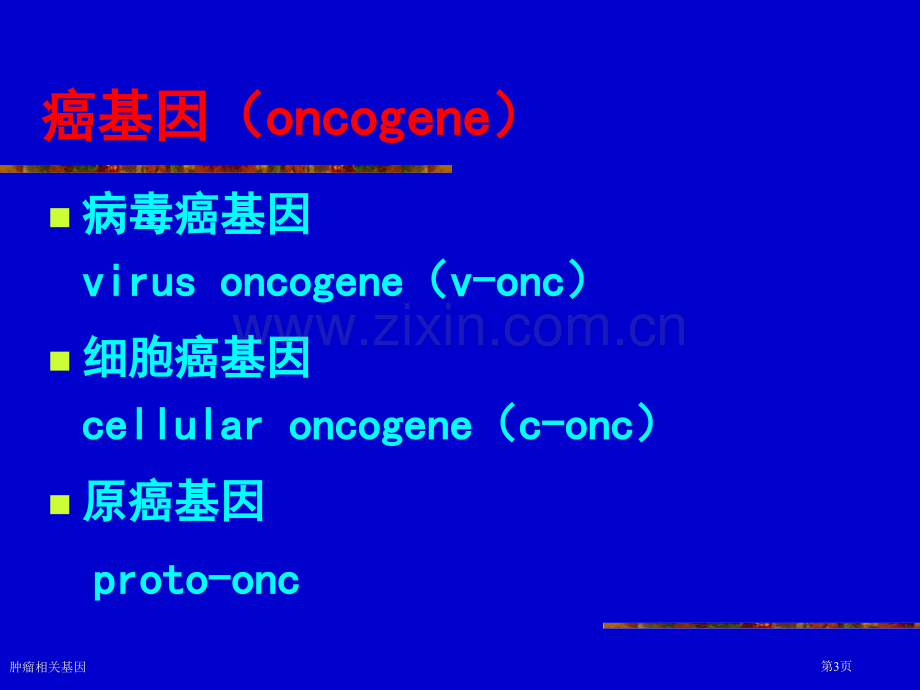 肿瘤相关基因专家讲座.pptx_第3页