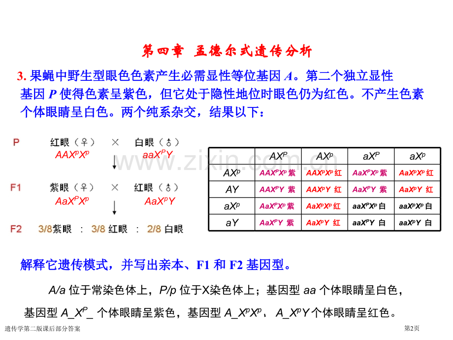 遗传学第二版课后部分答案专家讲座.pptx_第2页