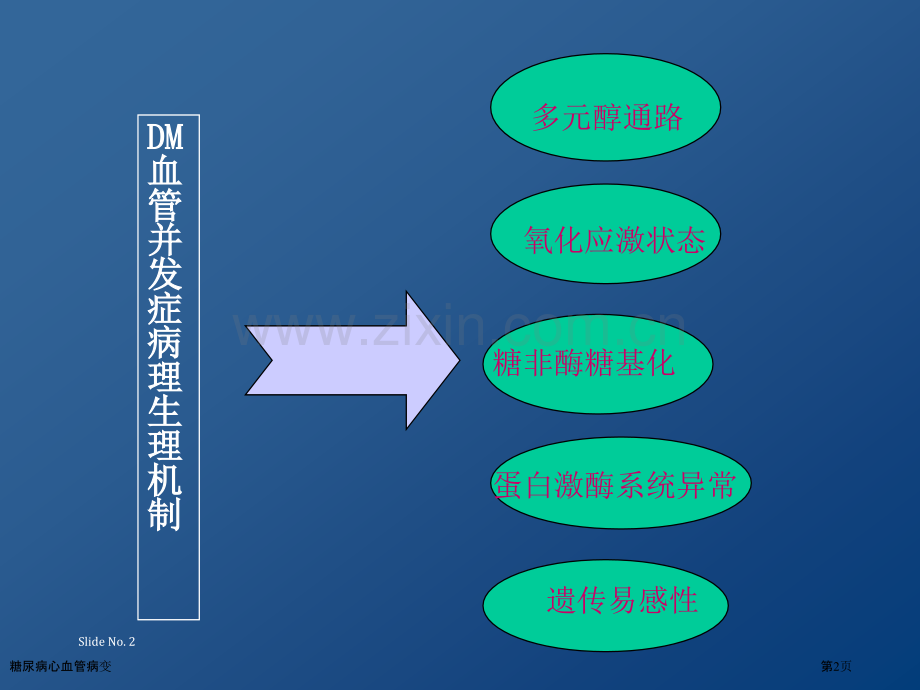 糖尿病心血管病变专家讲座.pptx_第2页