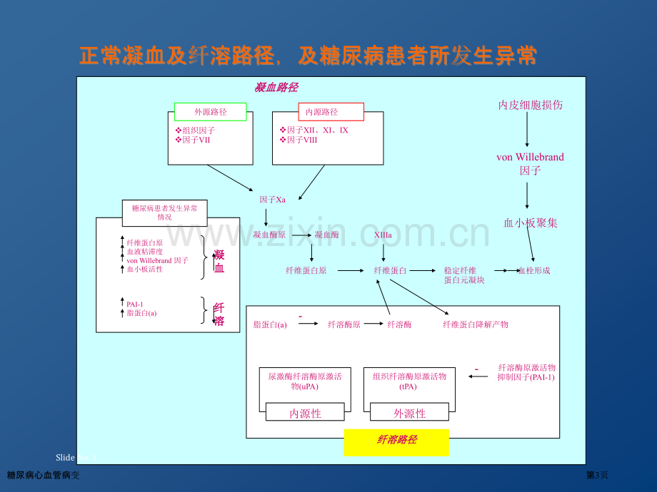 糖尿病心血管病变专家讲座.pptx_第3页