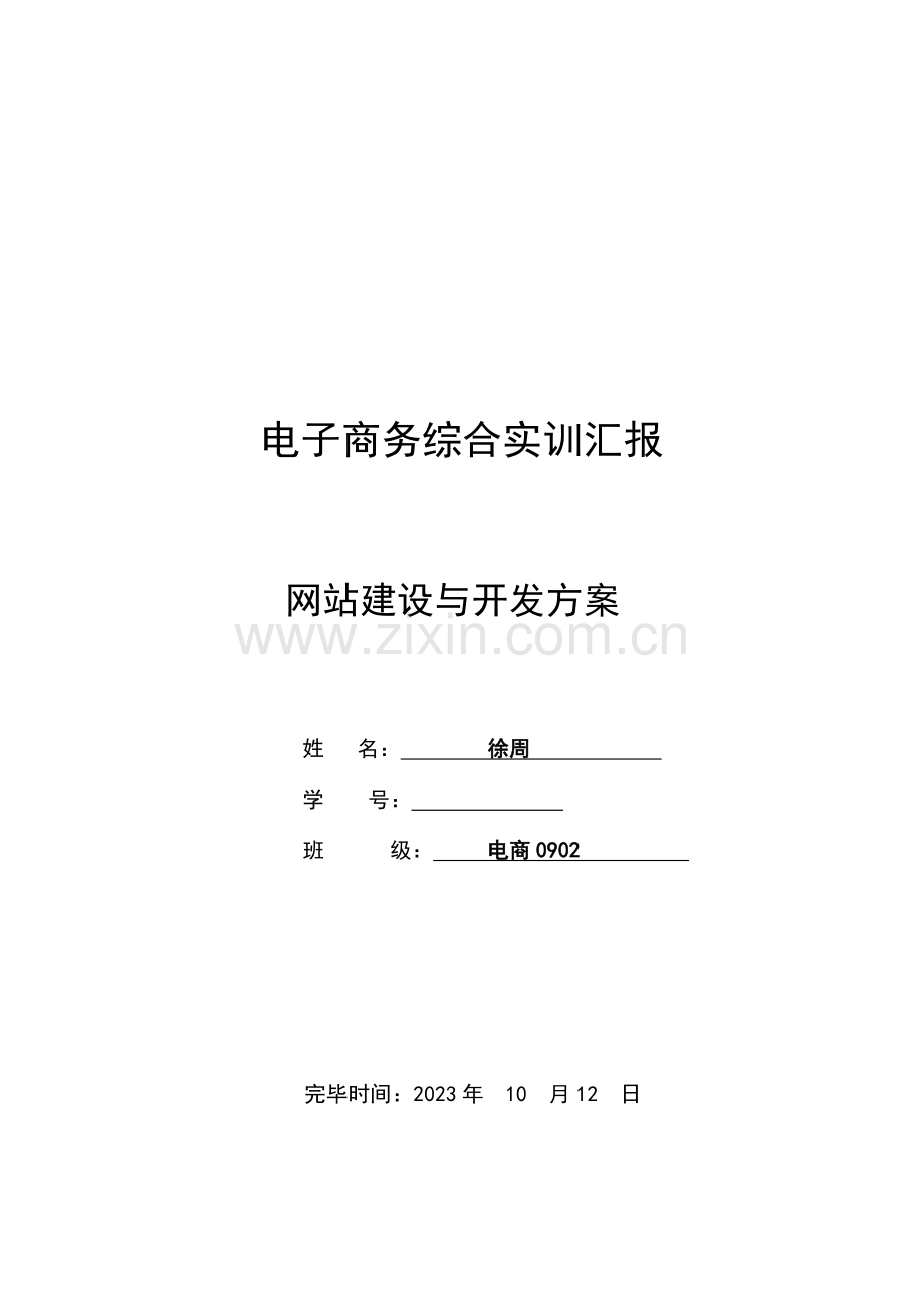 网站建设方案选择.doc_第1页