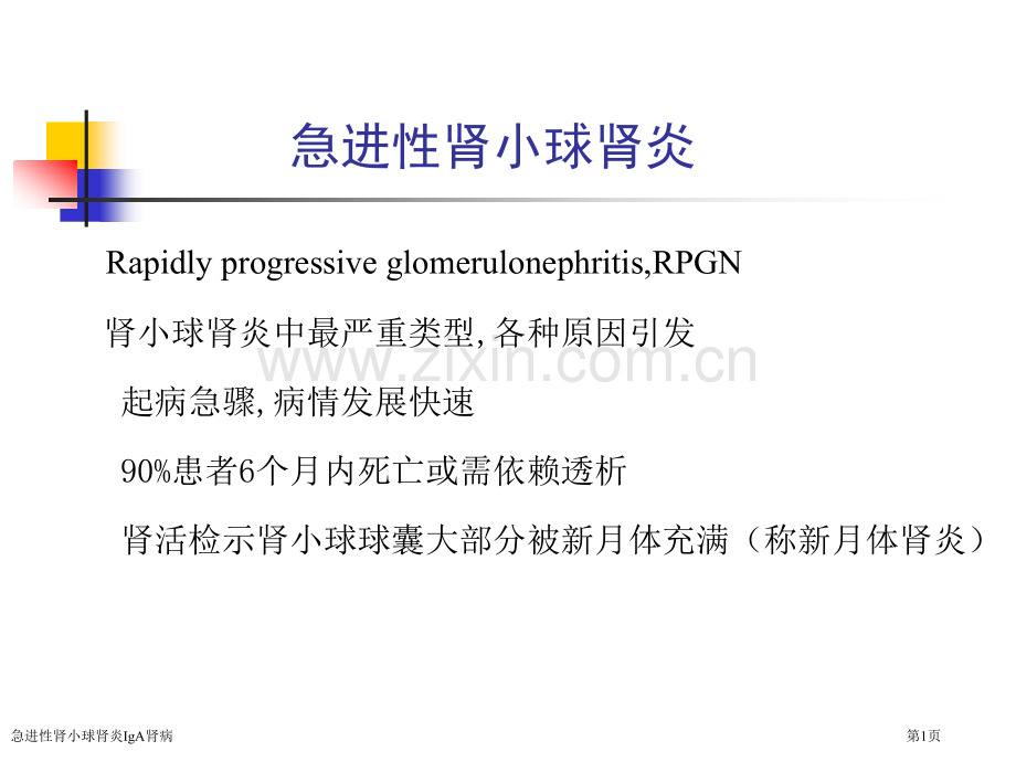 急进性肾小球肾炎IgA肾病专家讲座.pptx_第1页