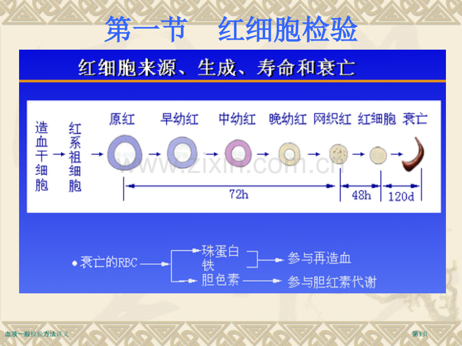 血液一般检验方法讲义.pptx_第3页