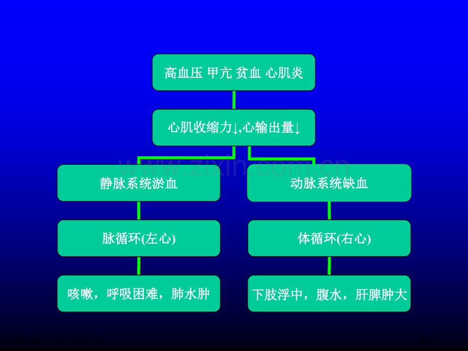 抗慢性心功能不全药专业知识讲座专家讲座.pptx_第3页