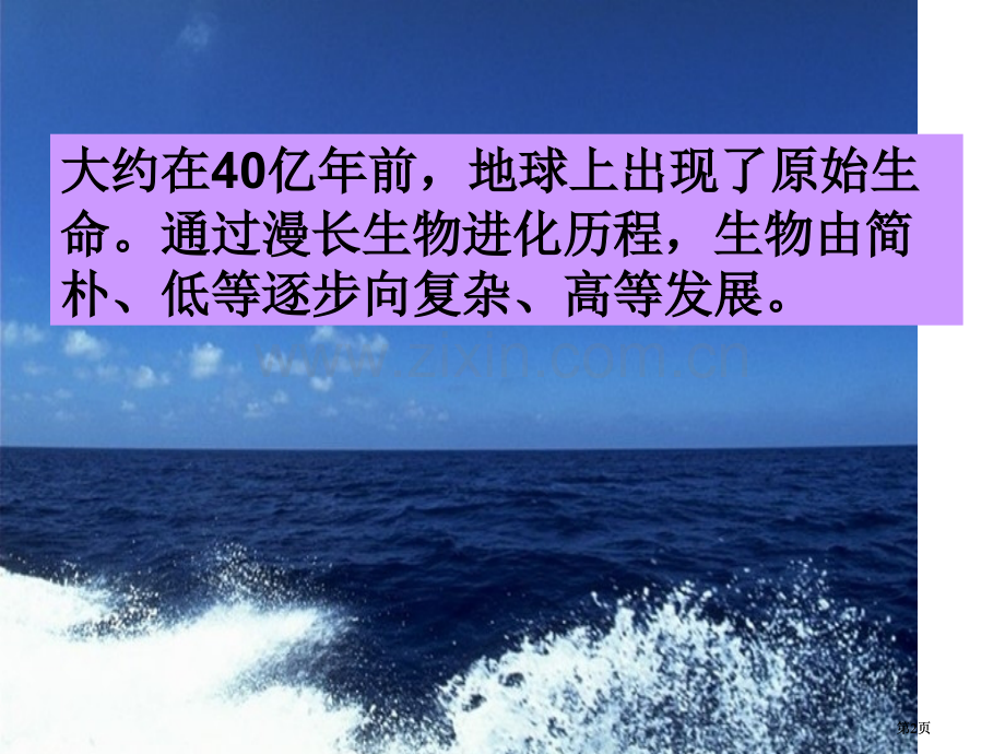 节生物进化专题培训市公开课金奖市赛课一等奖课件.pptx_第2页