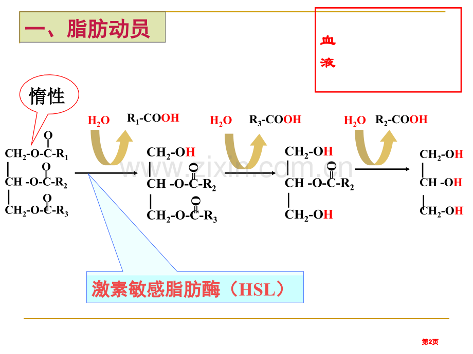 生物化学复习公开课一等奖优质课大赛微课获奖课件.pptx_第2页