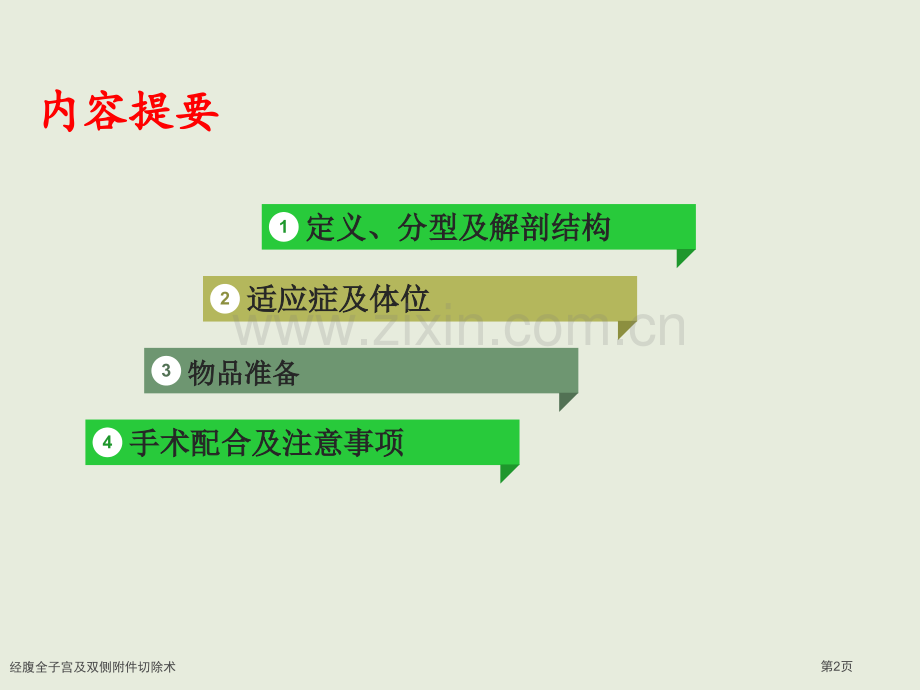 经腹全子宫及双侧附件切除术.pptx_第2页