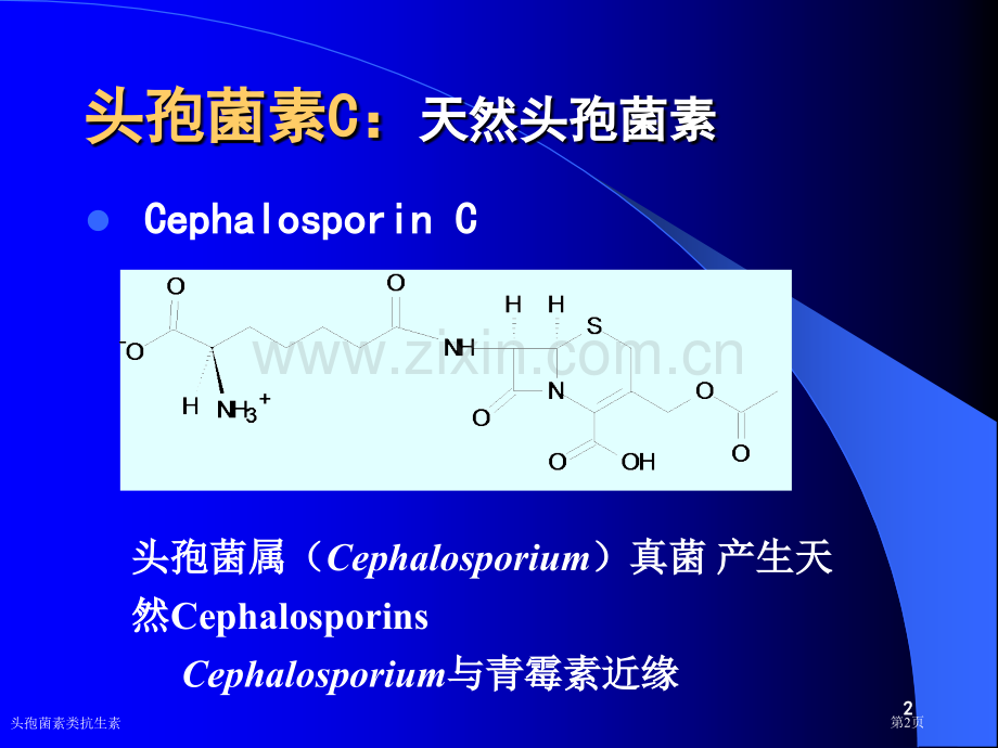 头孢菌素类抗生素专家讲座.pptx_第2页