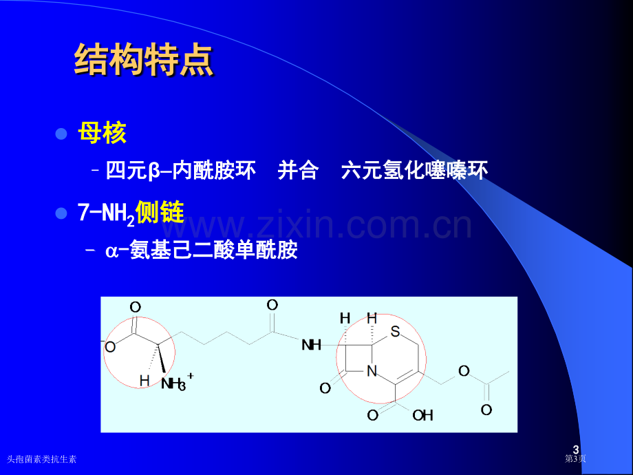 头孢菌素类抗生素专家讲座.pptx_第3页