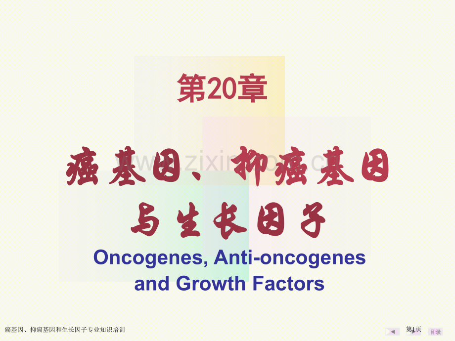 癌基因、抑癌基因和生长因子专业知识培训专家讲座.pptx_第1页