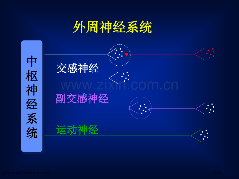 外周神经系统药物专业知识培训专家讲座.pptx_第3页