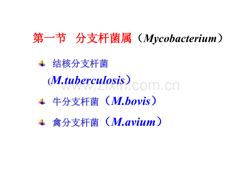 2013执业兽医资格考试微生物学分支杆菌属及相似属-PPT课件.pptx_第1页