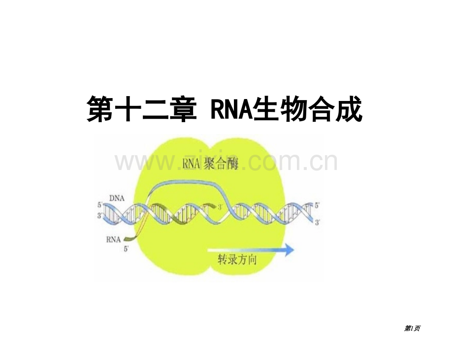 生物化学RNA的生物合成公开课一等奖优质课大赛微课获奖课件.pptx_第1页