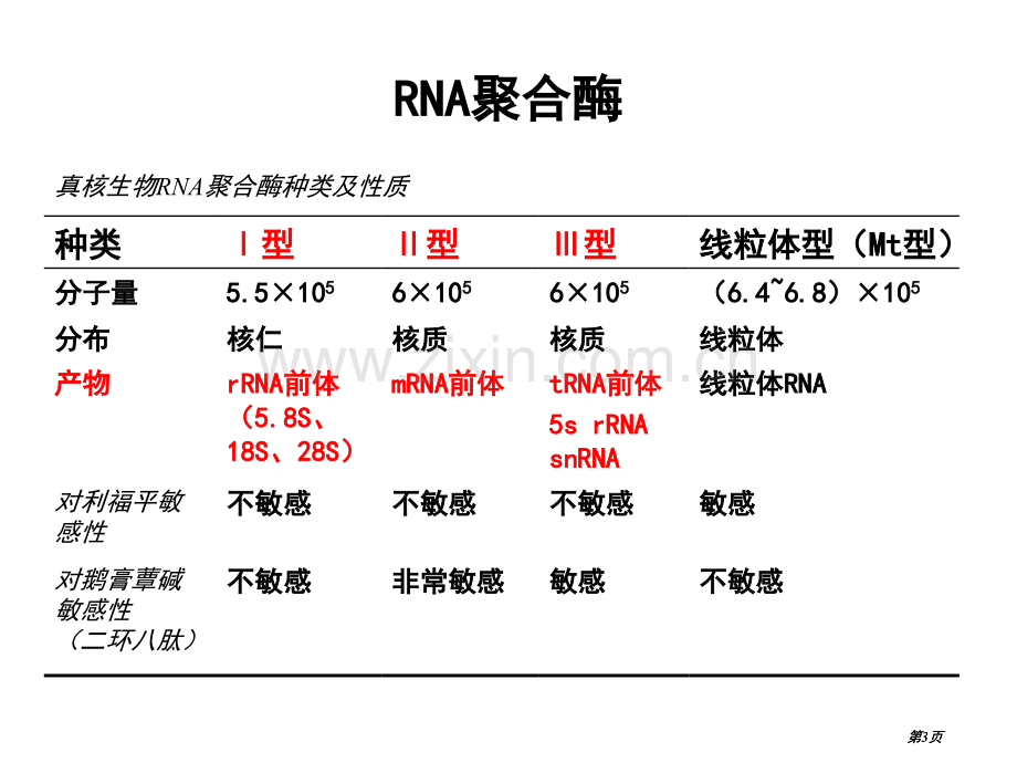 生物化学RNA的生物合成公开课一等奖优质课大赛微课获奖课件.pptx_第3页